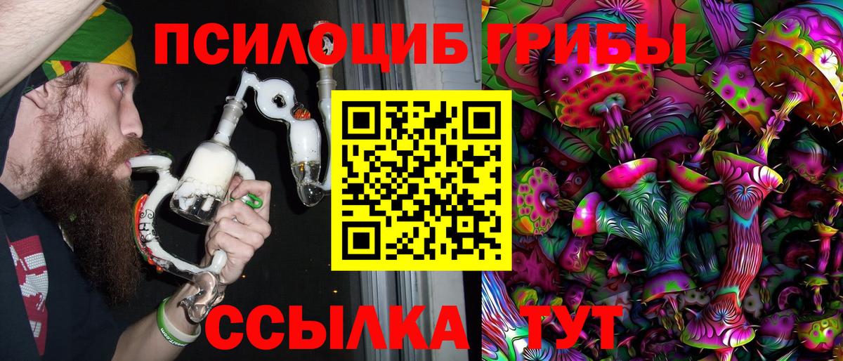 Красноармейск  Псилоцибиновые грибы Psilocybine cubensis  Галлюциногенные грибы Cubensis  Вход с VPN 