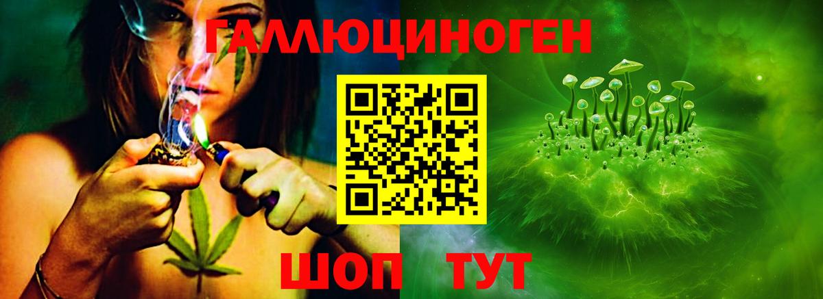 Галлюциногенные грибы Cubensis Красноармейск